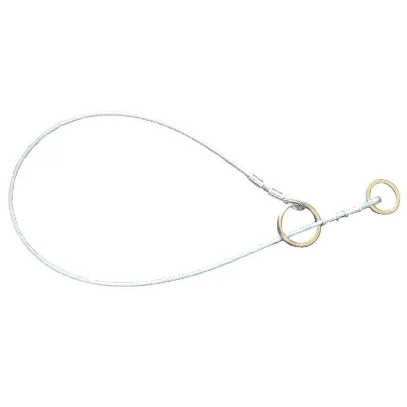 nur-heute-e39-00-safewaze-fs83_68f36b883defd