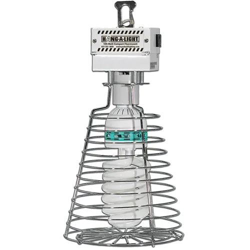 nur-heute-e59-95-probuilt-1111_68f394115bf88